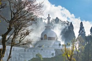 Darjeeling-Temple_Peace-pagoda-