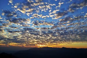 darjeeling sunset